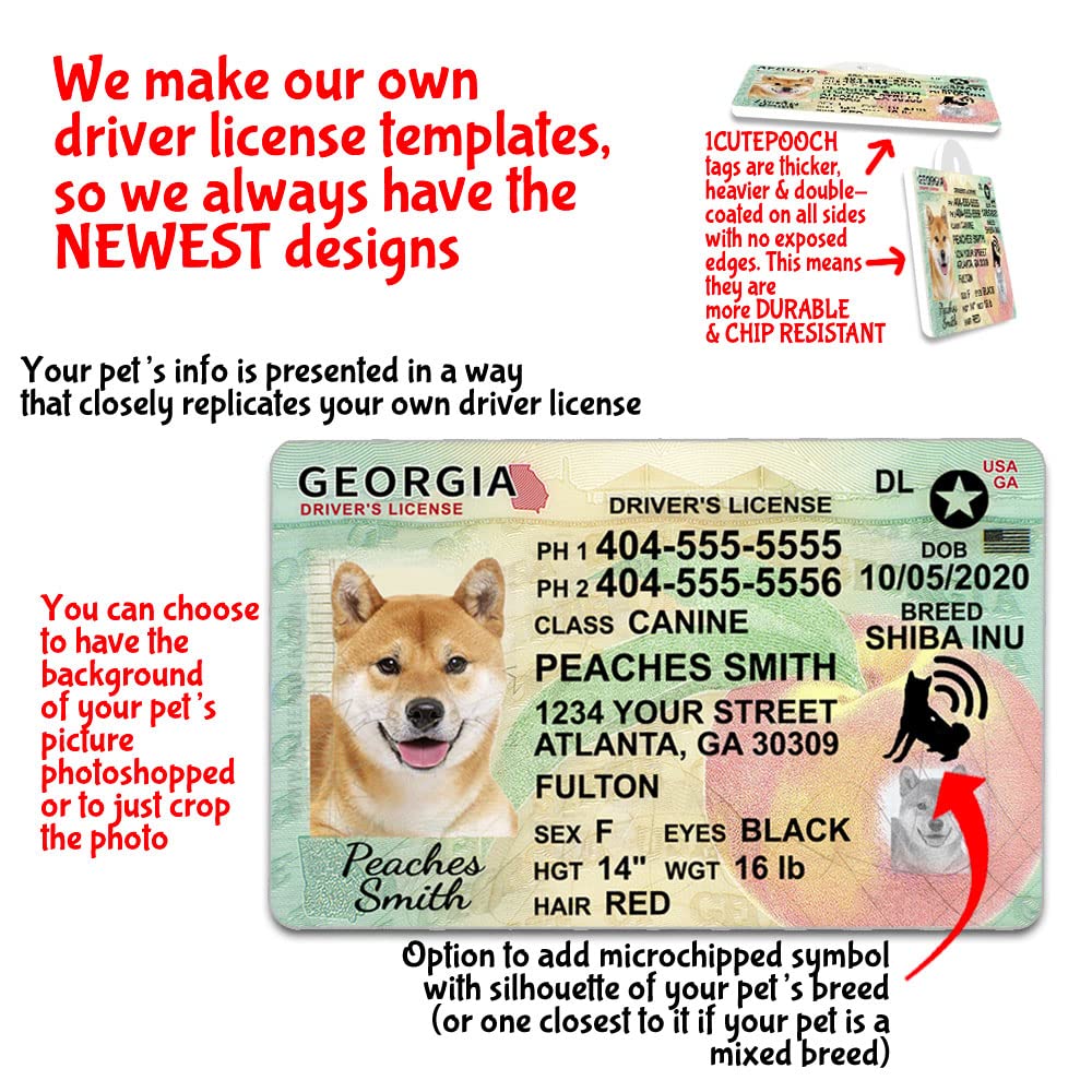 Amazon.com: Georgia Driver License Custom Dog Tag for Pets and